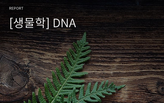 [생물학] DNA