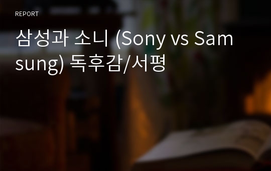 삼성과 소니 (Sony vs Samsung) 독후감/서평