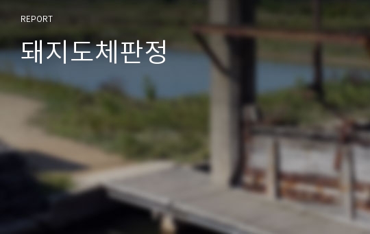 돼지도체판정