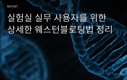 실험실 실무 사용자를 위한 상세한 웨스턴블로팅법 정리