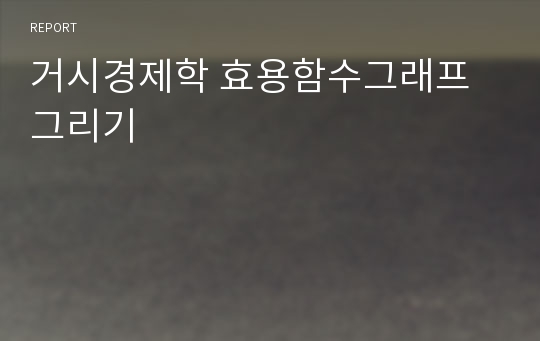 거시경제학 효용함수그래프그리기