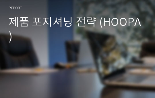 제품 포지셔닝 전략 (HOOPA)