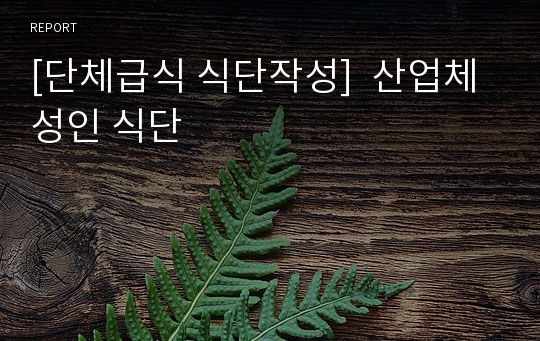 [단체급식 식단작성]  산업체 성인 식단