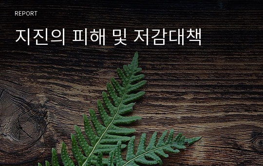 지진의 피해 및 저감대책