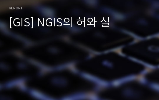 [GIS] NGIS의 허와 실