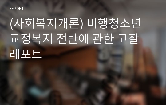 (사회복지개론) 비행청소년 교정복지 전반에 관한 고찰 레포트