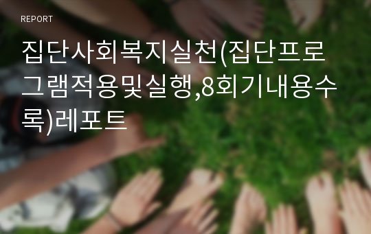 집단사회복지실천(집단프로그램적용및실행,8회기내용수록)레포트