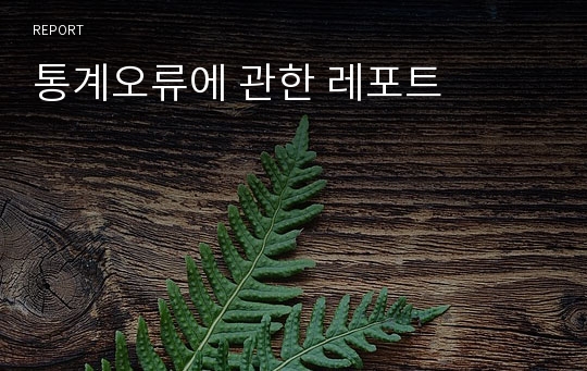 통계오류에 관한 레포트