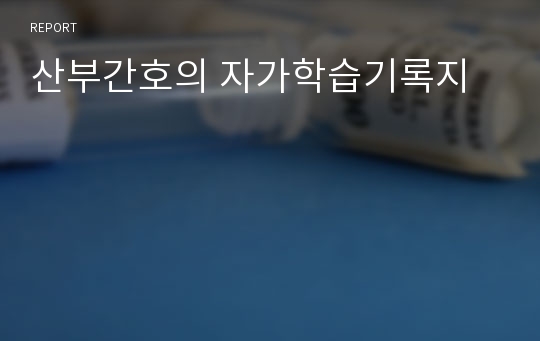 산부간호의 자가학습기록지