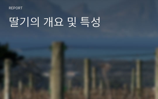 딸기의 개요 및 특성