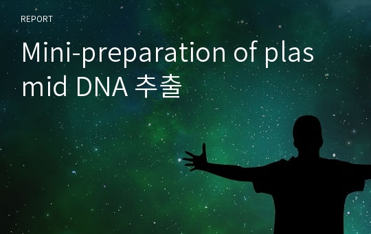 Mini-preparation of plasmid DNA 추출