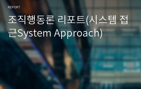 조직행동론 리포트(시스템 접근System Approach)