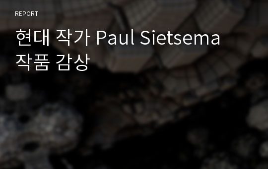 현대 작가 Paul Sietsema 작품 감상