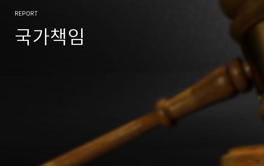 국가책임