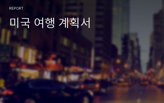 미국 여행 계획서