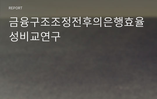 금융구조조정전후의은행효율성비교연구