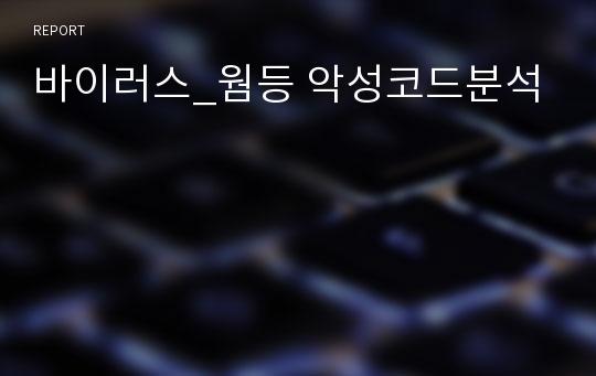 바이러스_웜등 악성코드분석