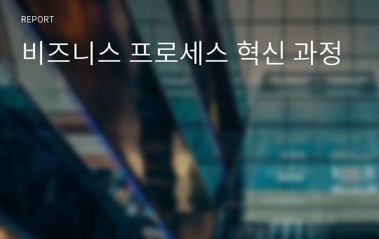 비즈니스 프로세스 혁신 과정