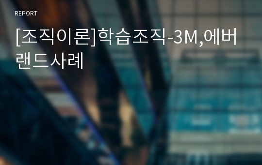 [조직이론]학습조직-3M,에버랜드사례