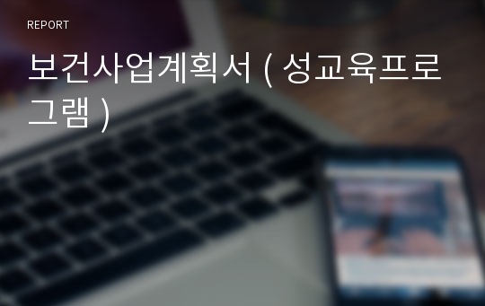 보건사업계획서 ( 성교육프로그램 )