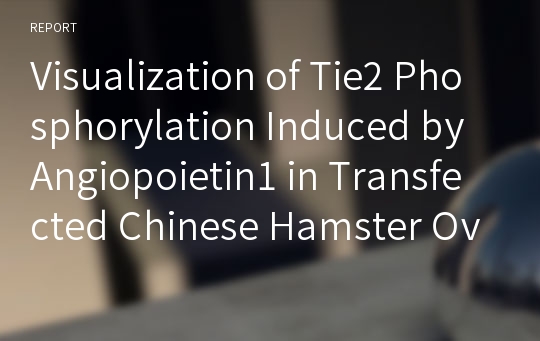 Visualization of Tie2 Phosphorylation Induced by Angiopoietin1 in Transfected Chinese Hamster Ovary Cell through Immunoprecipitation and Western Blot
