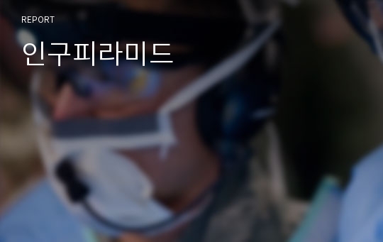 인구피라미드