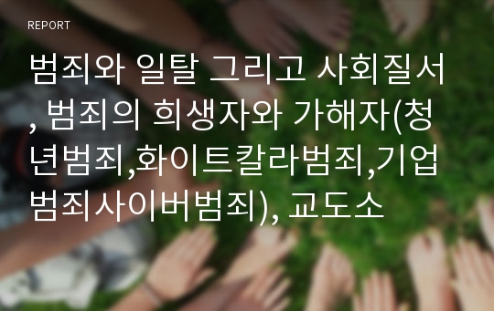 범죄와 일탈 그리고 사회질서, 범죄의 희생자와 가해자(청년범죄,화이트칼라범죄,기업범죄사이버범죄), 교도소