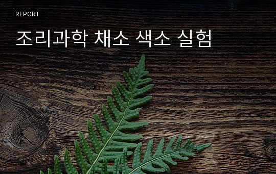 조리과학 채소 색소 실험