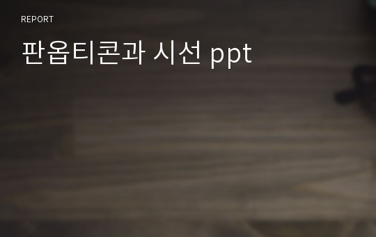 판옵티콘과 시선 ppt