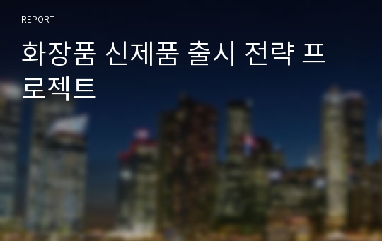 화장품 신제품 출시 전략 프로젝트