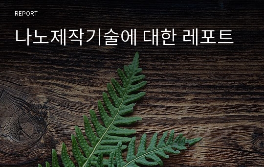 나노제작기술에 대한 레포트