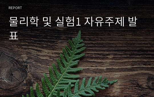 물리학 및 실험1 자유주제 발표