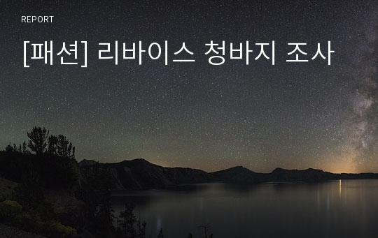 [패션] 리바이스 청바지 조사