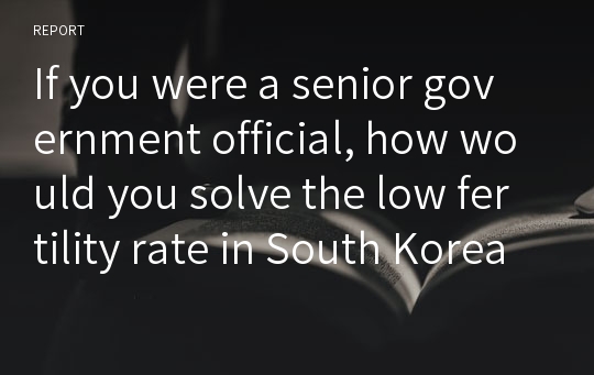 If you were a senior government official, how would you solve the low fertility rate in South Korea?