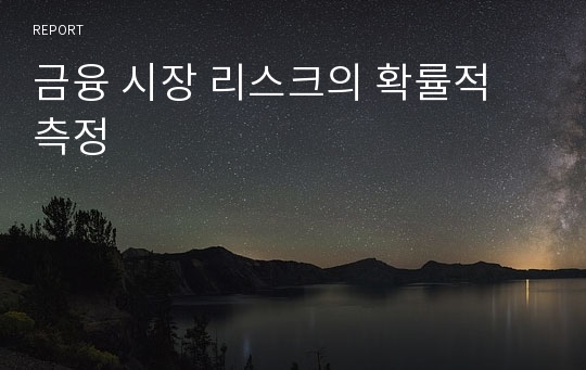 금융 시장 리스크의 확률적 측정