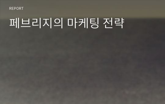 페브리지의 마케팅 전략