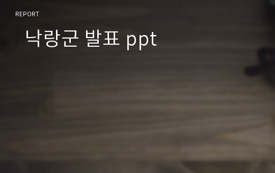   낙랑군 발표 ppt