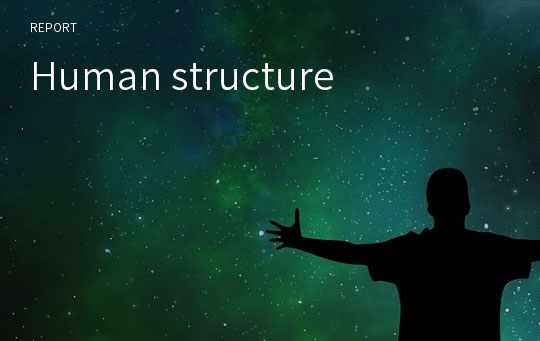 Human structure