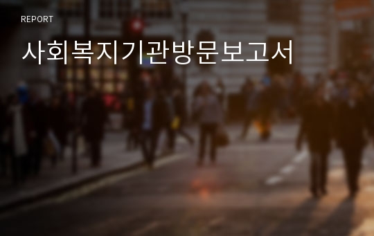 사회복지기관방문보고서