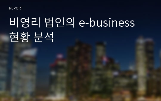 비영리 법인의 e-business 현황 분석