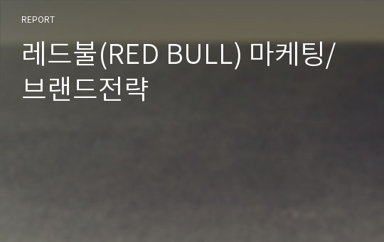 레드불(RED BULL) 마케팅/브랜드전략