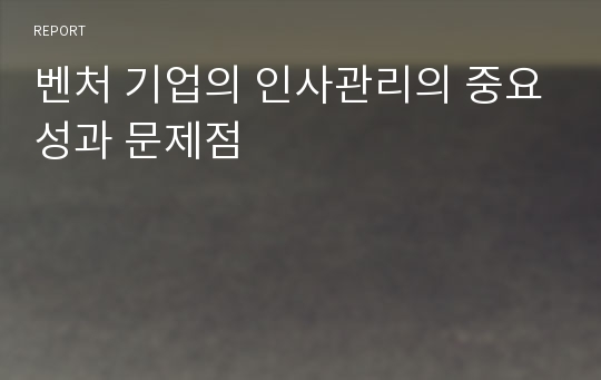 벤처 기업의 인사관리의 중요성과 문제점