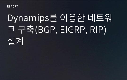 Dynamips를 이용한 네트워크 구축(BGP, EIGRP, RIP)설계