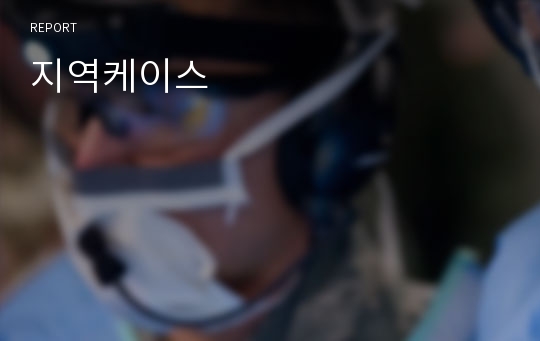 지역케이스