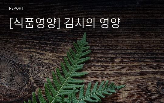 [식품영양] 김치의 영양