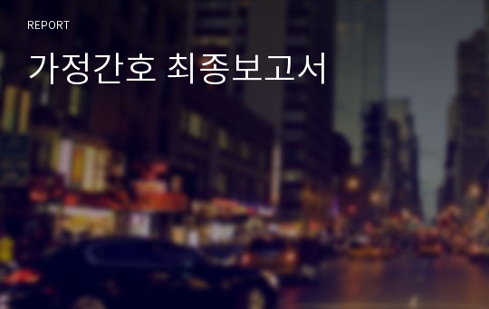 가정간호 최종보고서