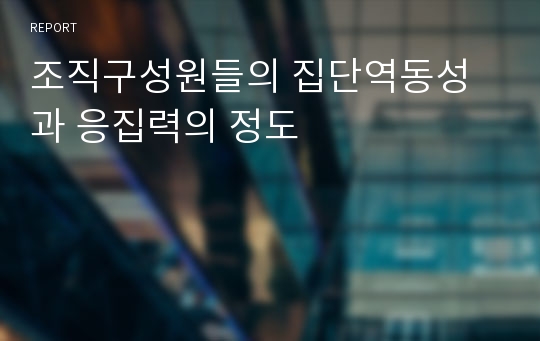 조직구성원들의 집단역동성과 응집력의 정도