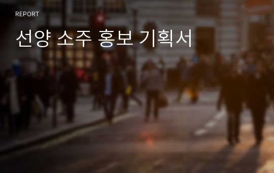 선양 소주 홍보 기획서