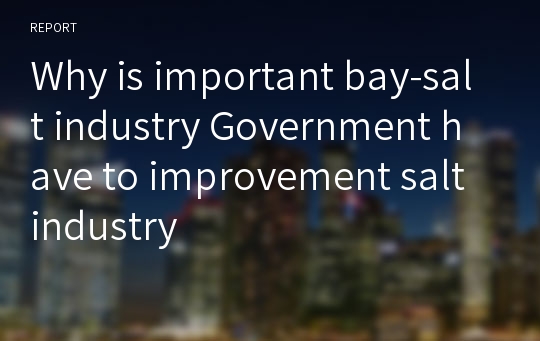 Why is important bay-salt industry Government have to improvement salt industry