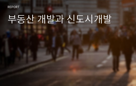 부동산 개발과 신도시개발